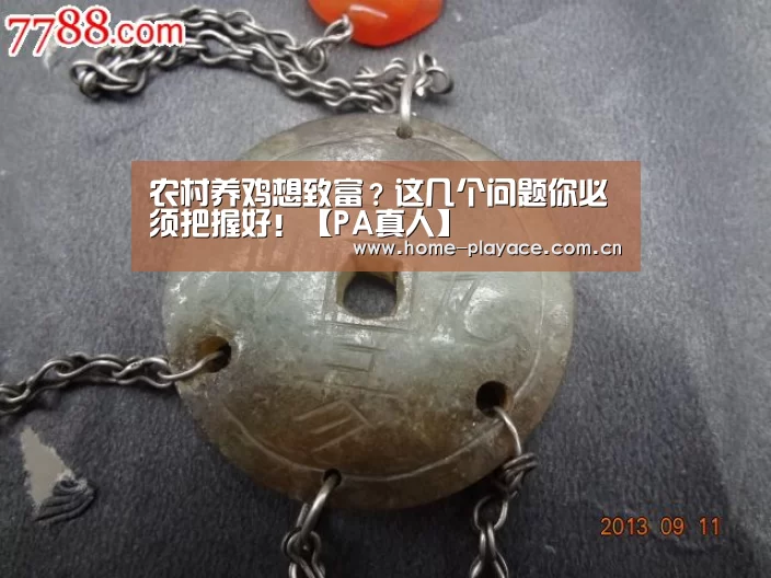 农村养鸡想致富?这几个问题你必须把握好!【PA真人】(图1) PA真人集团
